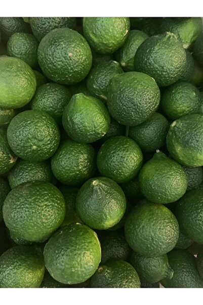 Yeşil Bodrum Mandalini (3 KG)