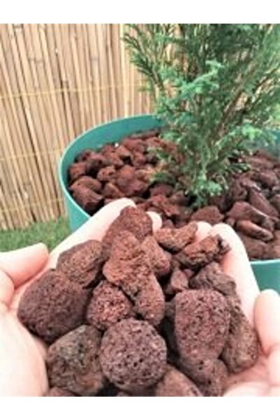 Asenya Dekoratif Pomza Taşı 3 Kg 15-25 Mm Kırmızı Pomza Tarım Pomzası Bahçe S...