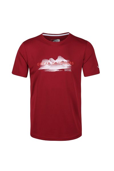 Regatta Ανδρικό T-shirt Fingal V - Μπορντό