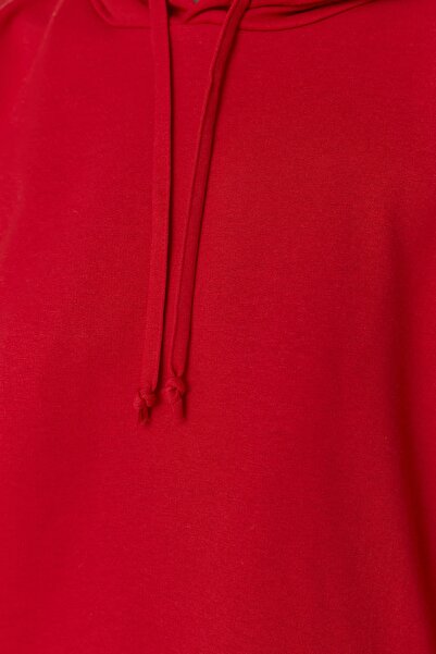 Trendyol Collection Rotes, dünnes Basic-Sweatshirt mit Kapuze in regulärer/normaler Passform TWOAW20SW0059