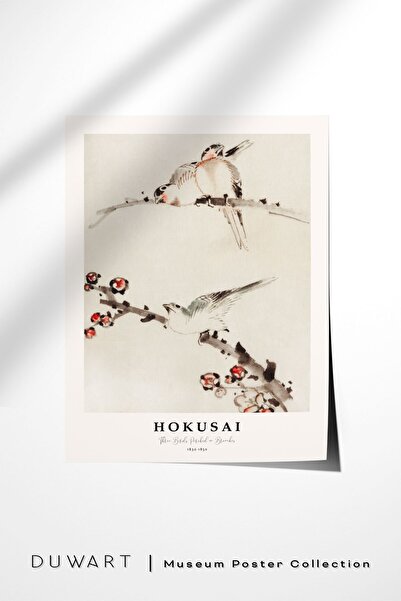 DUWART Premium Çerçevesiz Poster Hokusai Three Birds Poster Çerçevesiz Tablo ...