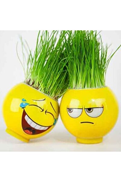K&Ç kılıç Çim Adam Emojili 6 Adet