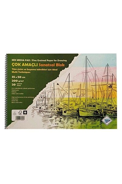 art liva Sanatsal Resim Defteri Fon Kartonlu 200 Gr 35x50 cm
