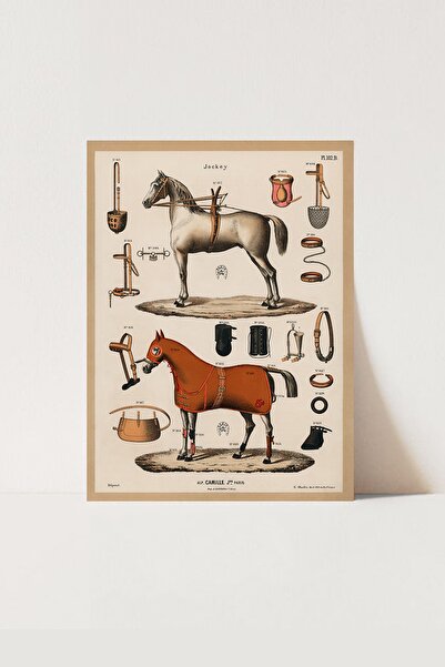 HOME DEKORİSTA Vintage Poster, Galeri Duvarı, At Poster, Atçılık,