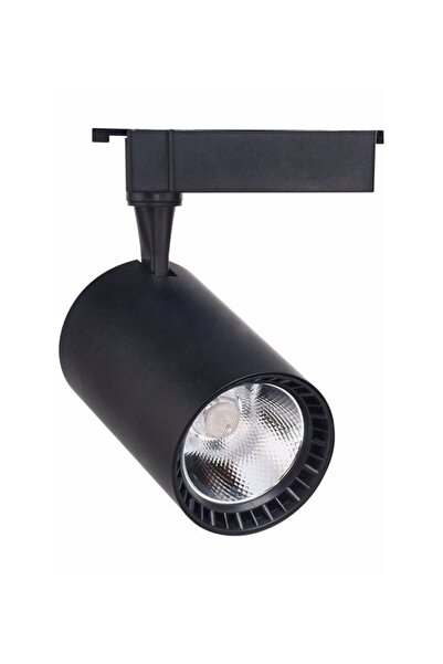 Genel Markalar 30w Paris Siyah Kasa 360° Dönen Led Ray Spot Günışığı -ray-spo...