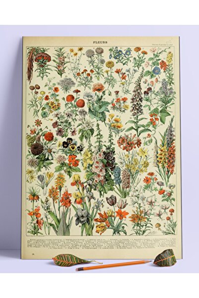 Buka Shops Fleurs Duvar Posteri Dev Boy 45x30 Cm