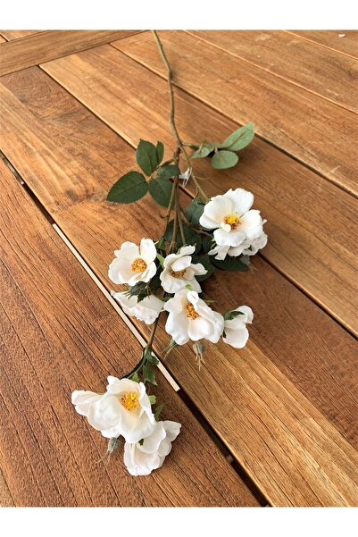 Genel Markalar Rx 019 Cre Krem Gelincik Dalı Ve Simli Yeşillik