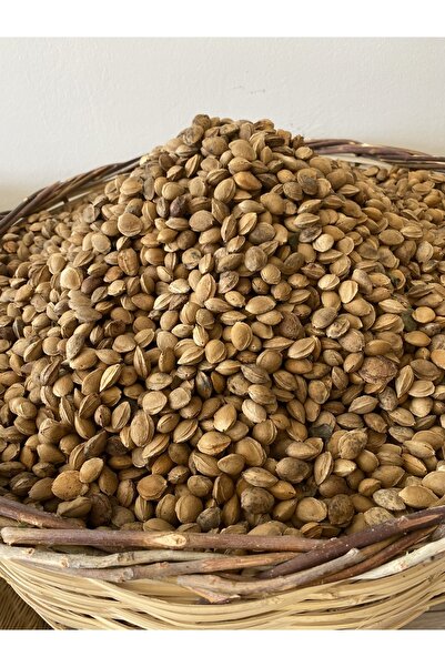 AZMİ ZENGİN USTA Kayısı Çekirdeği