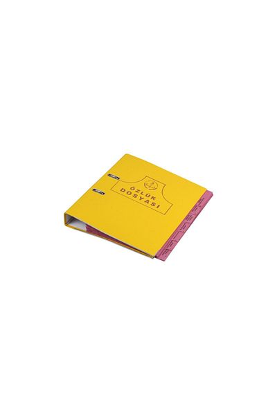 Gülpaş Costum cu 8 fișiere și 1 folder - Dosar cu scrisori pentru profesor