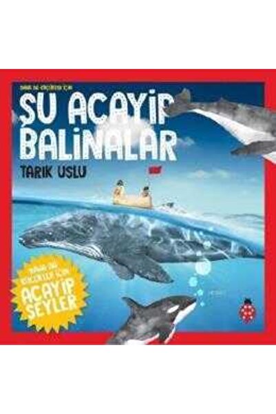 Uğurböceği Yayınları Şu Acayip Balinalar - Daha Da Küçükler Için