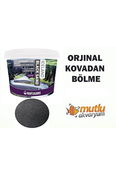 ReeFlowers Hagen Kum ( Açık ) 5 Kg