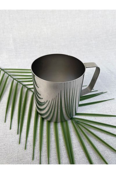 ERATOS Stainless Steel Mug Cup-silver Colored Cup with Handle-steel Carafe