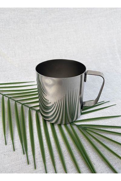 ERATOS Stainless Steel Mug Cup-silver Colored Cup with Handle-steel Carafe