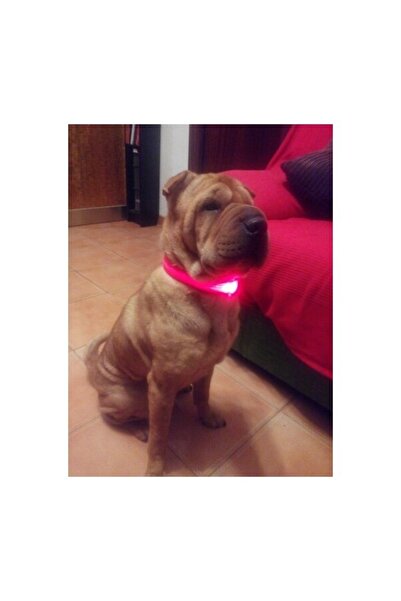 Duffa Led Işıklı Fonksiyonlu Boyun Tasması, Ayarlabilir Led Boyun Tasması - Kırmızı