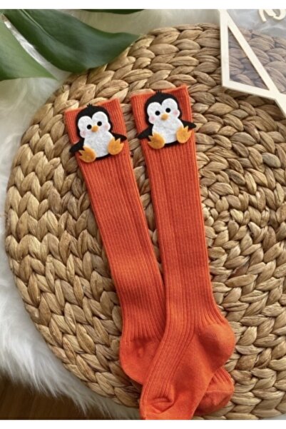 ÖZKARDEŞLER BABY Bebek Diz Altı Çorap Keçe Fükürlü