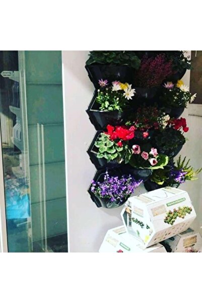MYROSEGARDEN Üçlü Duvar Saksısı