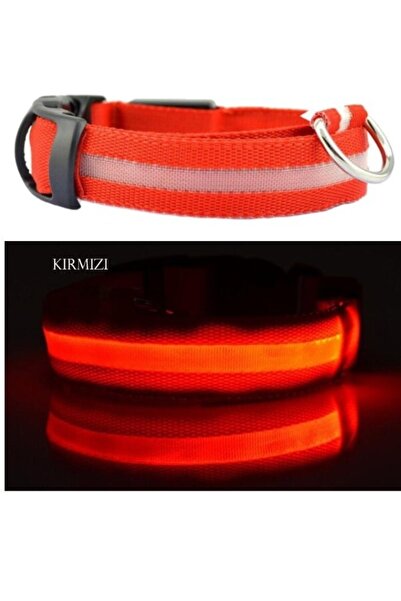 Duffa Led Işıklı Fonksiyonlu Boyun Tasması, Ayarlabilir Led Boyun Tasması - Kırmızı