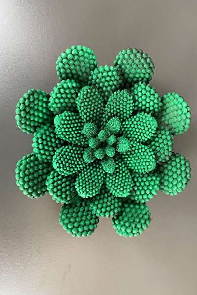 Dekora Tif Kaktüs Tabak Süs Eşyası Hediyelik Eşya