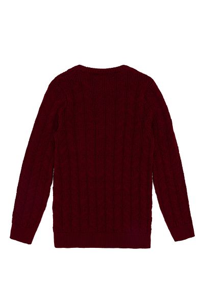 U.S. Polo Assn. Crew Neck Plain Red Boy's Sweater Olderkıds-Sk22