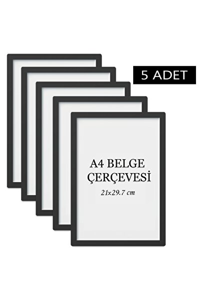ÖZCANLAR ÇERÇEVE 5 Li Set A4(21x29.7) Diploma Çerçevesi Belge Çerçeveleri Ser...