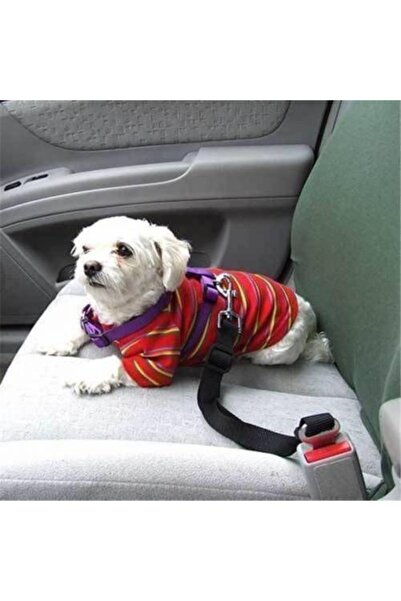 Ankaflex Araç Araba Köpek Kedi Emniyet Kemeri Tasması Oto Aksesuarı Evcil Hay...