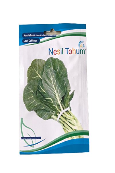 Arzuman Karalahana (yaprak Lahana-karadeniz) Atalık Tohum 3 Paket