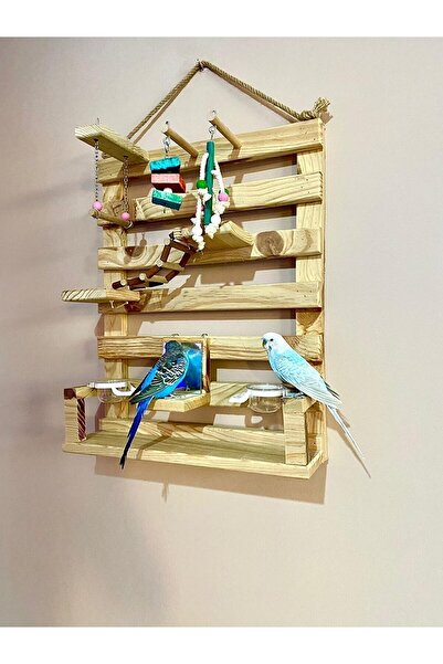 gençesnaf Budgie and Parrot Play Track - Decorative Wall Perch M-4