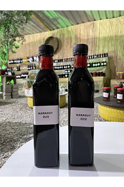 KaradağDoğalÜrünler Doğal Karadut Özü 700g 2 Adet