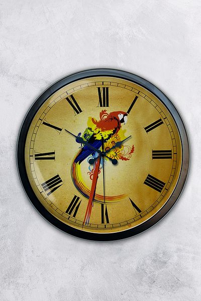 Kasva Concept Gift 40 cm Black Metal Parrot Wall Clock