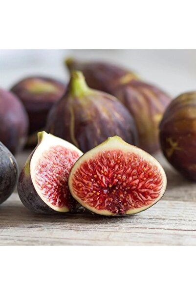 Floramut Karadeniz Patlıcan Incir Fidesi -2adet-