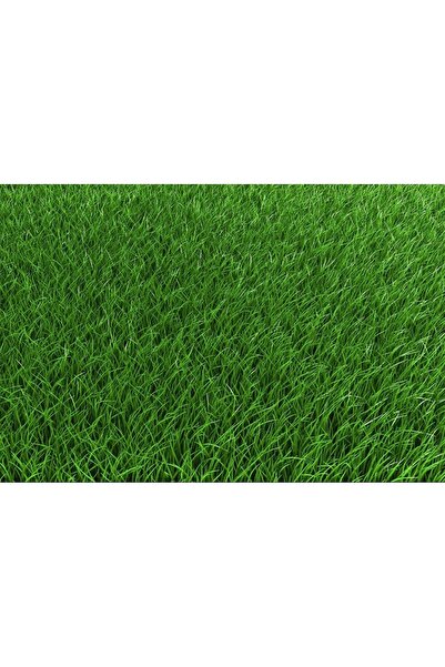BAHÇESTORE Green King 6m 6 Lı Karışım Çim Tohumu 500 gr
