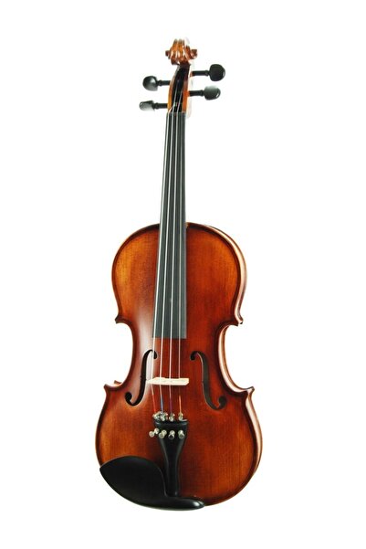 Stanislava Keman Profesyonel Abanoz Stvpa44