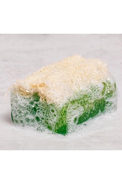 TrendMilano صابون الصبار بألياف اليقطين الطبيعية