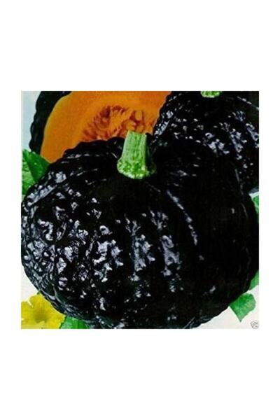 Tohum Dünyam Süper Paket 20 Adet Tohum Ithal Nadir Thailand Siyah Bal Kabağı Tohumu Kabak Tohumu