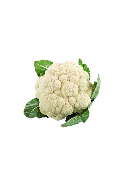 Tohum Dünyam Karnabahar Tohumu 50 Adet Tohum Karnıbahar