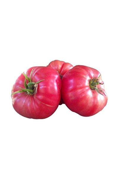 Tohum Dünyam Nadir Iri Pembe Domates Tohumu 20 Adet Tohum Bulgar Domatesi