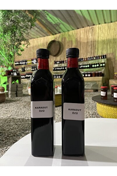 KaradağDoğalÜrünler Doğal Karadut Özü 700g 2 Adet