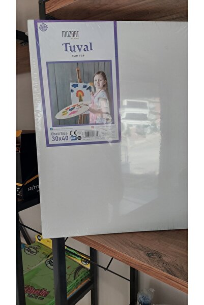 MOZART Tuval 30×40 Cm