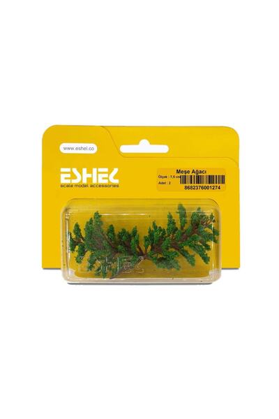 Eshel Meşe Ağacı --7,5 Cm--2 Li
