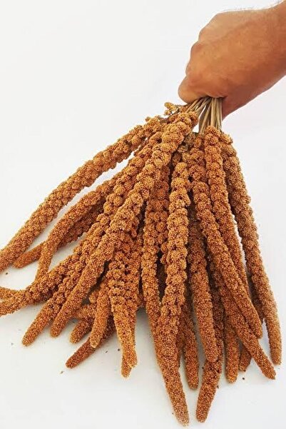 Vitaking Kızıl Dal Darı Iri Taneli 500gr