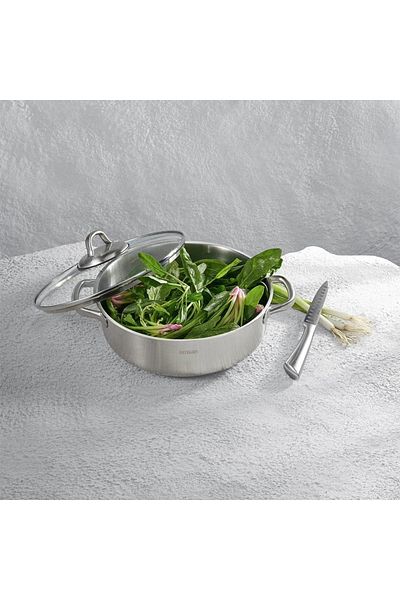 Emsan Steel Force Carrot Pot 24 Cm