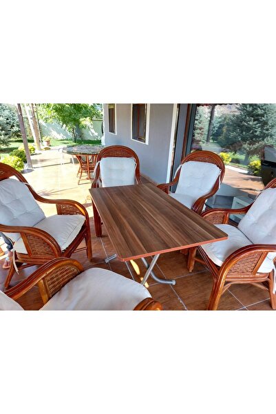 aldagelsin Dekoratif Katlanır Masa Bahçe Ve Çalışma Masası (70*120)