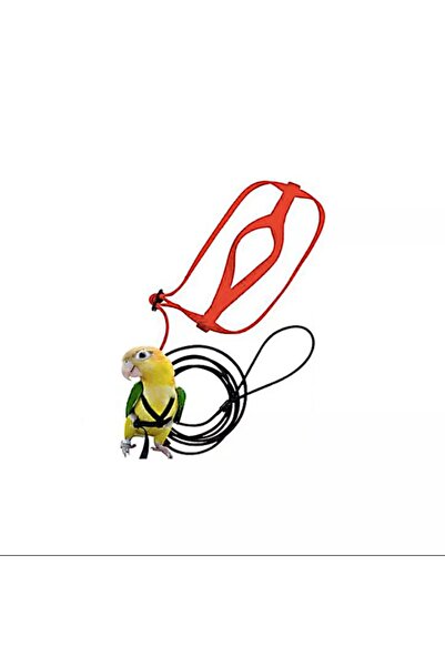 Mavi Kaktüs Sultan Papağanı Tasması Kuş Gezdırme Tasması Açık Hava Oyuncağı 1...