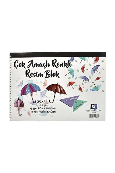 Alex Schoeller Multi-Purpose Picture Notebook 120gr 25x35cm 25 Sheets