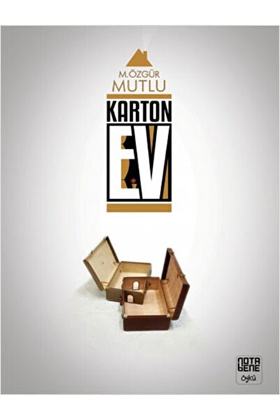 Generic Brand Karton Ev - - M. Özgür Mutlu Kitabı