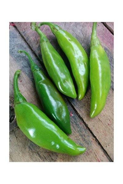 Tohum Dünyam Ithal Nadir Acı Balık Biberi Tohumu 40 Adet Tohum Biber Tohumu