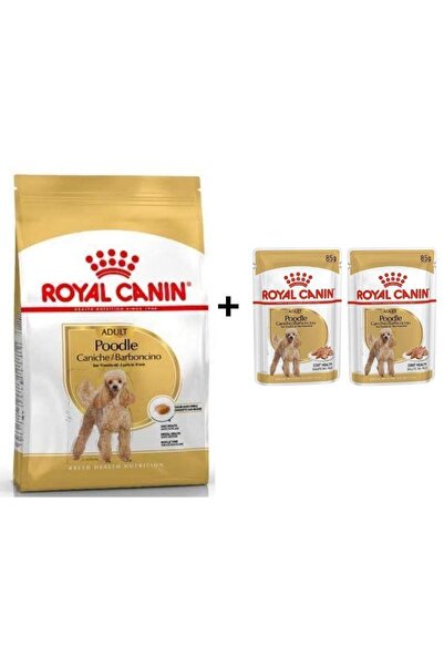 Royal Canin Poodle Adult Köpek Maması 3 kg + 2 Adet Yaş Mama
