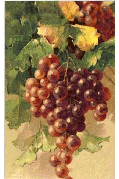 Marcel Kristal Tablo Grape Cluster Marcel Art Diamond Mosaic Painting 51X81Cm