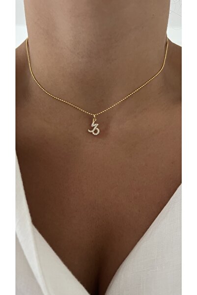 Vi store Altın Kaplama Oğlak Burcu Sembol Kolye