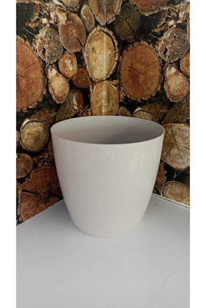 SERİNOVA Yakut Saksı